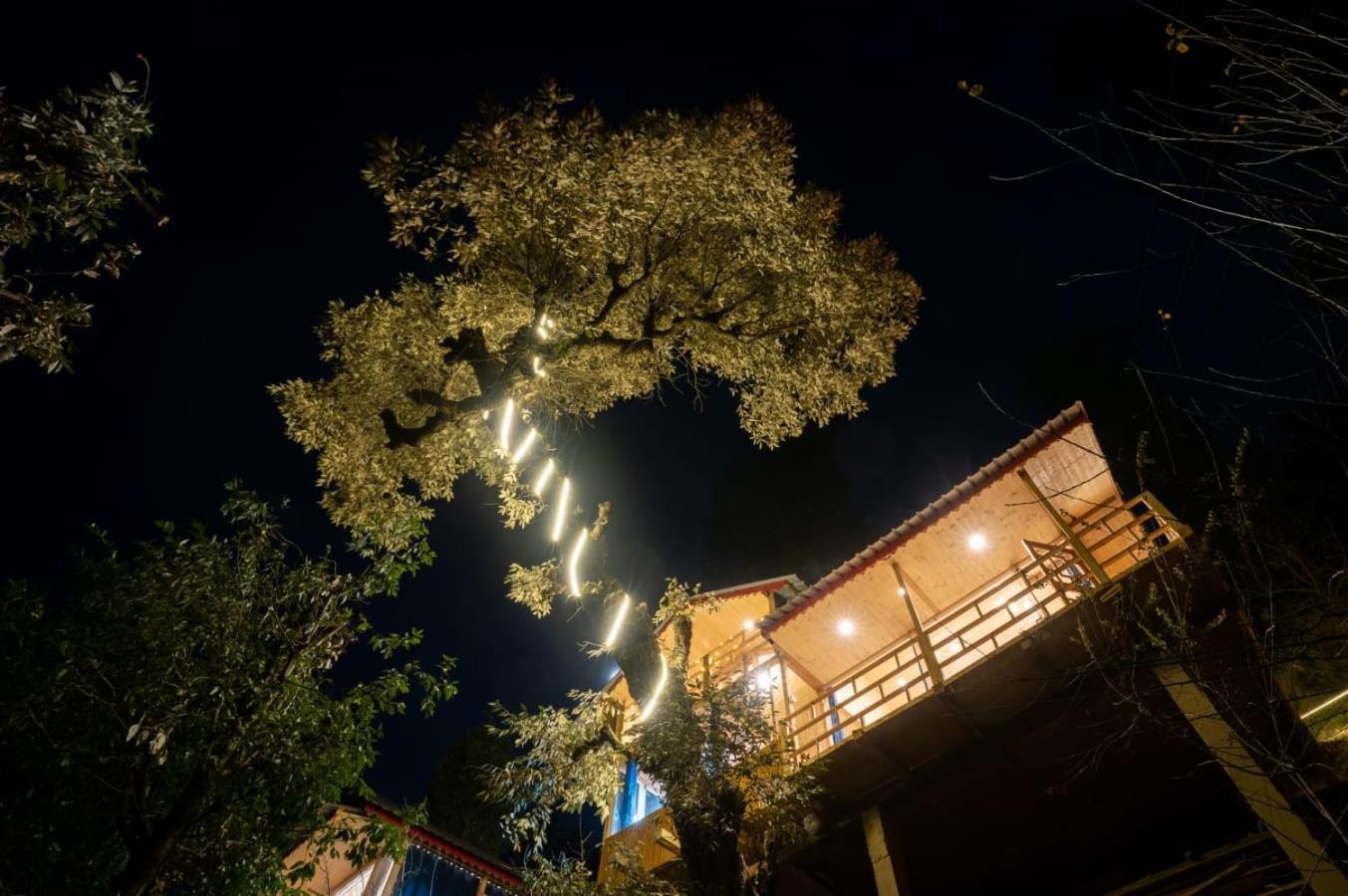 Into The Woods Treehouse Jibhi Villa Ngoại thất bức ảnh